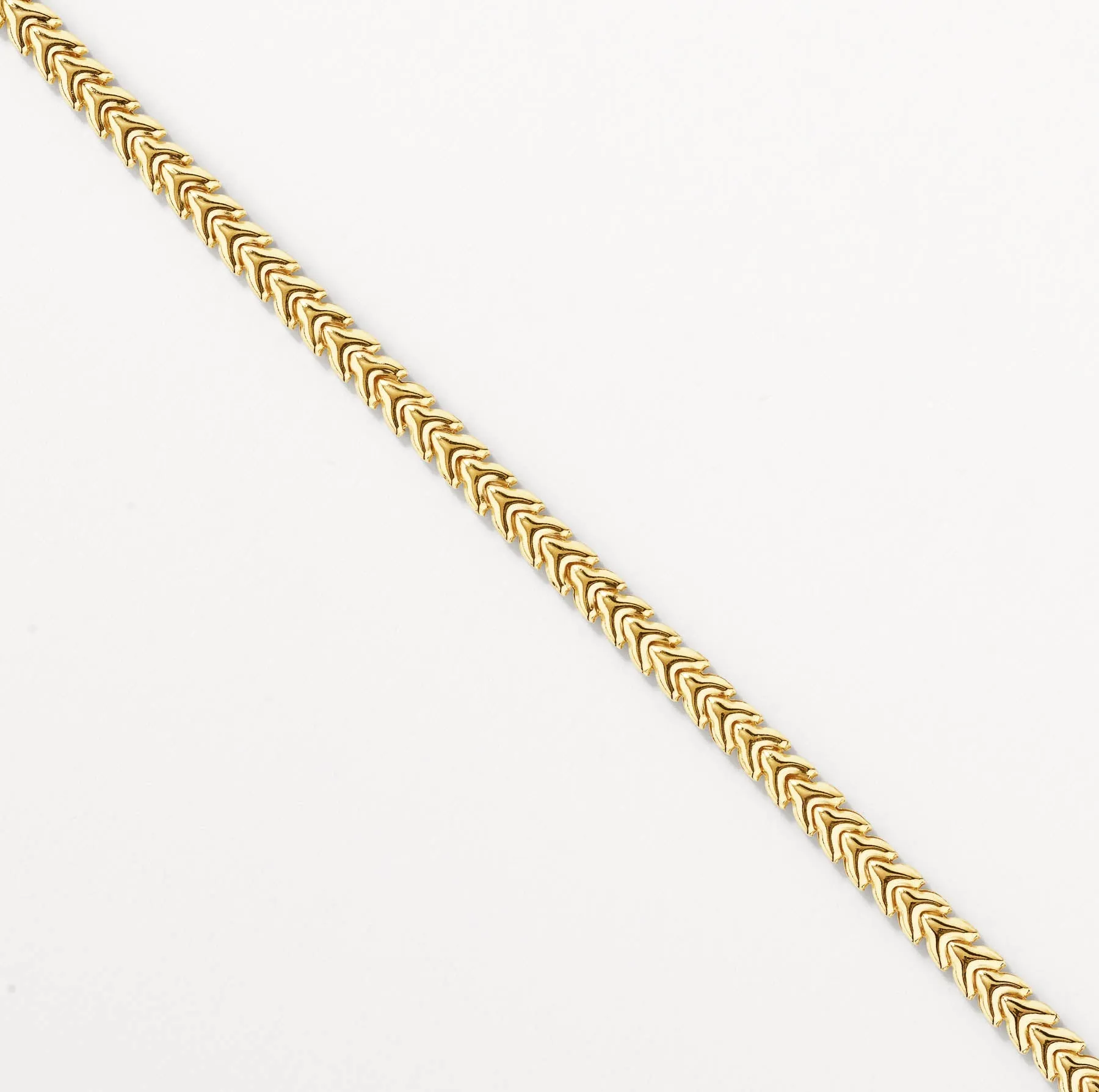 Fishtail Chain Necklace in Gold