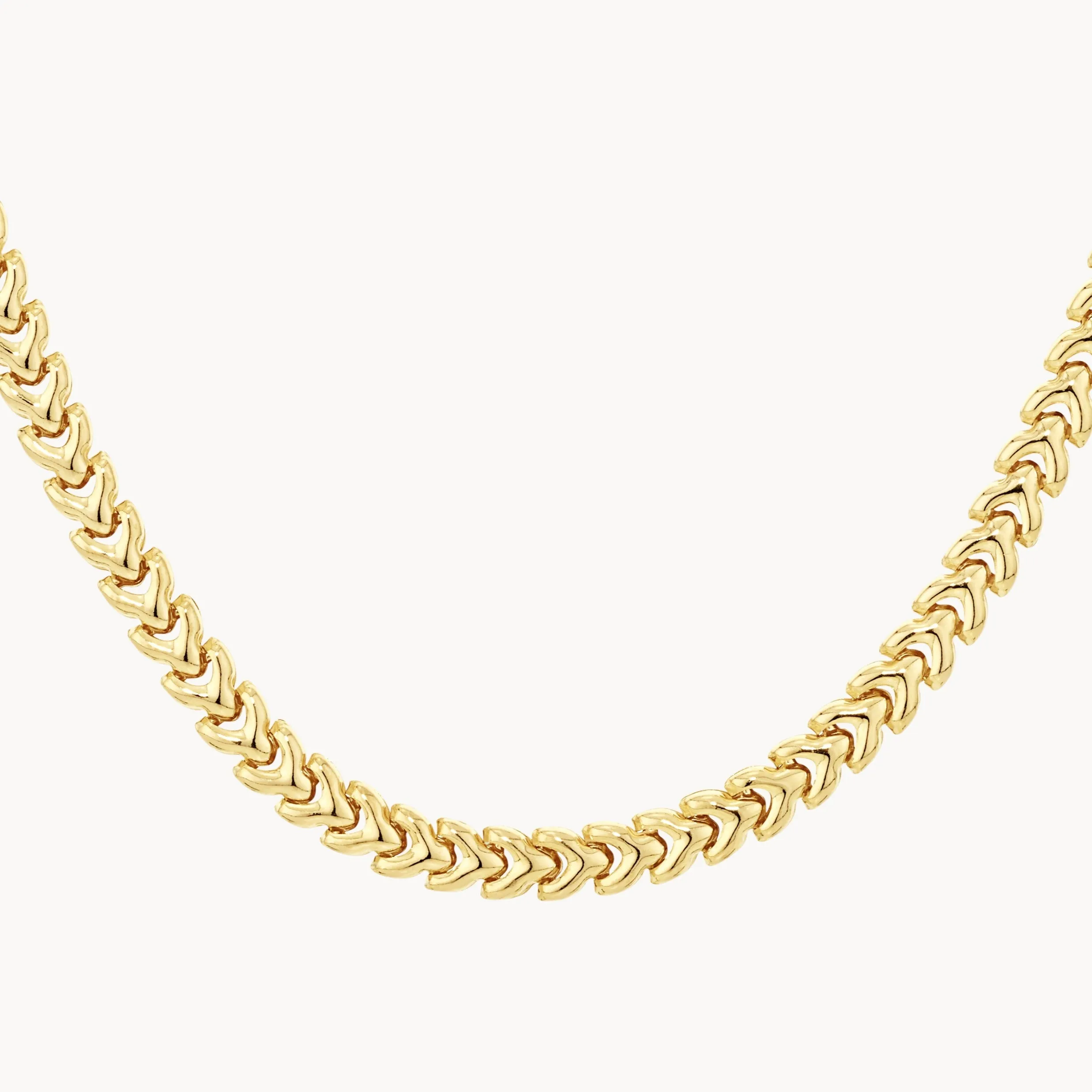 Fishtail Chain Necklace in Gold