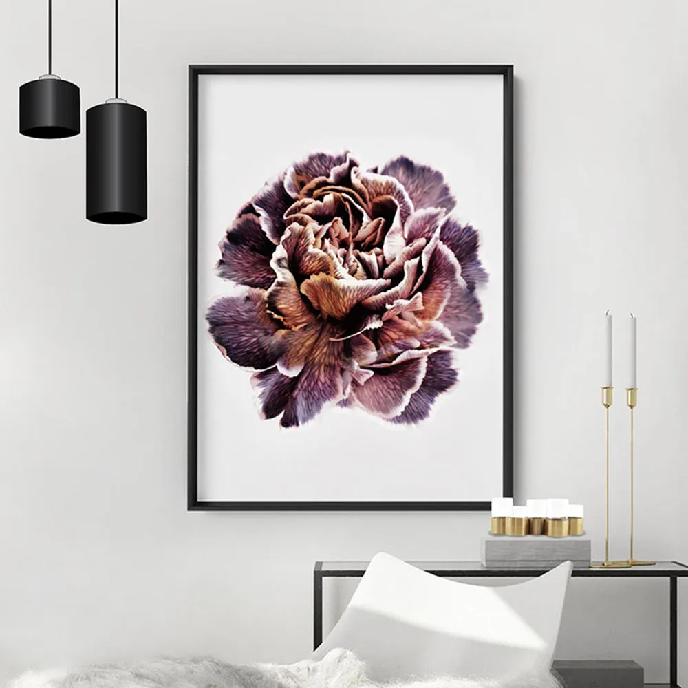 Floral Pose, Close up detail of Flower - Art Print