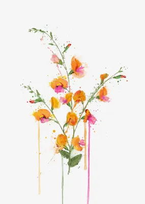 Flower Wall Art Print 'Flame Pea'